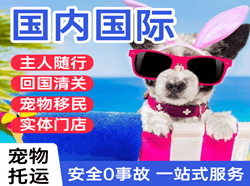 巴马航空物流国际宠物托运 【国